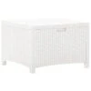 Boîte De Rangement De Jardin 60x54x41 Cm Rotin PP Blanc