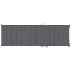 Chaise Longue Avec Coussin Bois D'acacia Solide 2 -Mobilier De Jardin chaise longue avec coussin bois d acacia solide 3666722932240 841533