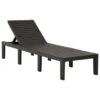 Chaise Longue Plastique Anthracite -Mobilier De Jardin chaise longue plastique anthracite 3666722438773 804007