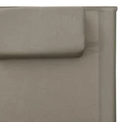 Chaises Longues Textilène 2 Pcs Taupe Et Gris 16 Chaises Longues Textilène 2 Pcs Taupe Et Gris -Mobilier De Jardin chaises longues textilene 2 pcs taupe et gris 8720286086728 767873