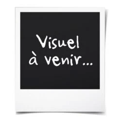 CHALET & JARDIN Armoire De Jardin En Bois Trocadero 500 - Capacité 500 L -Mobilier De Jardin chalet jardin armoire de jardin en bois trocadero 500 capacite 500 l 3700265700451 515733