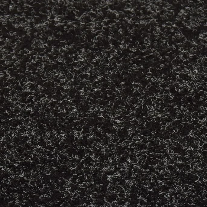 Gazon Artificiel Avec Picots 5x1 M Anthracite 5 Gazon Artificiel Avec Picots 5x1 M Anthracite – Image 3