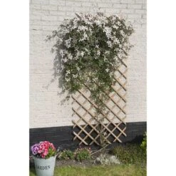 Nature Palissade De Jardin 50 X 150 Cm Bois Naturel 2 -Mobilier De Jardin nature palissade de jardin 50 x 150 cm bois naturel 3666722181327 1216897