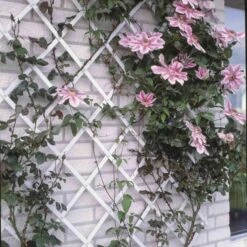 Nature Treillis De Jardin 100 X 300 Cm PVC Blanc 6 Nature Treillis De Jardin 100 X 300 Cm PVC Blanc -Mobilier De Jardin nature treillis de jardin 100 x 300 cm pvc blanc 8711338407059 1210402